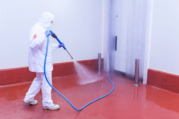 Best Roof Washing  in Red Bank, NJ